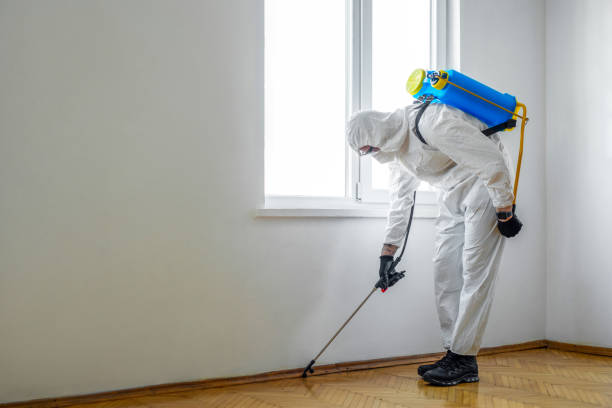 Pest Prevention Services in Wyoming, IL