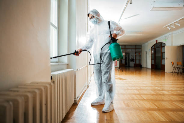 Best Insect Control  in Wyoming, IL