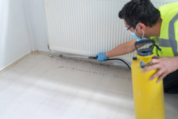 Best Best Pest Control Companies  in Wyoming, IL