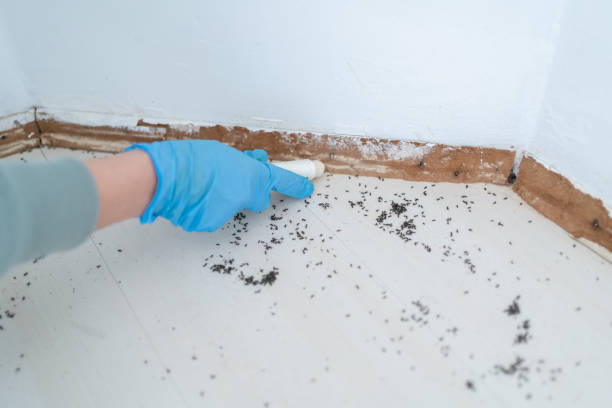 Wyoming, IL Pest Control Company